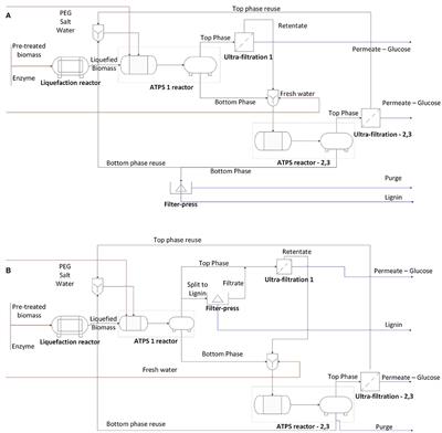 Enzymatic Hydrolysis of Sugarcane Bagasse in Aqueous Two-Phase Systems (ATPS): Exploration and Conceptual Process Design